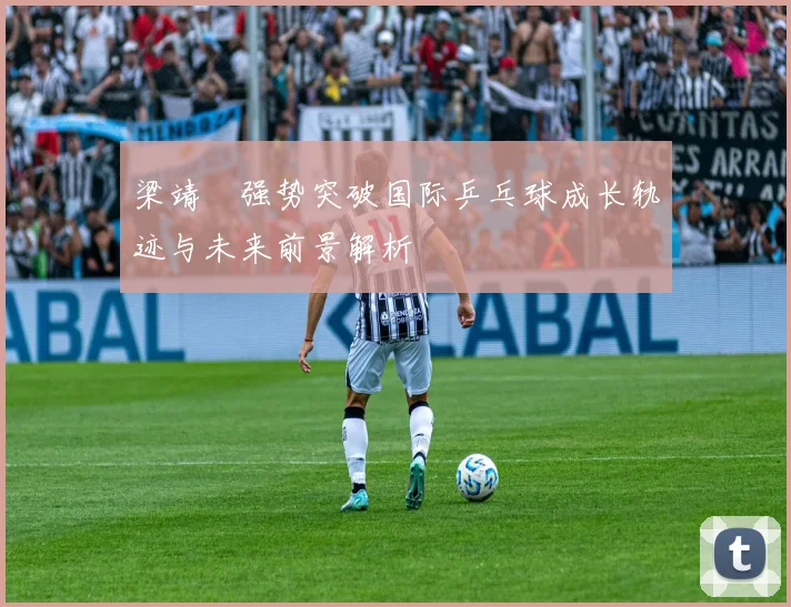 梁靖崑强势突破国际乒乓球成长轨迹与未来前景解析