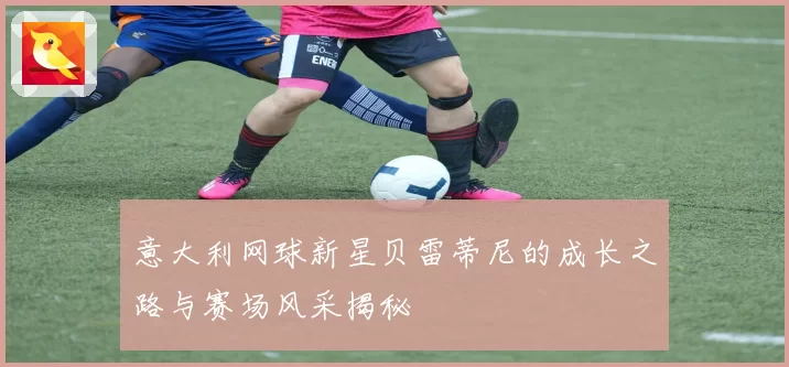 意大利网球新星贝雷蒂尼的成长之路与赛场风采揭秘