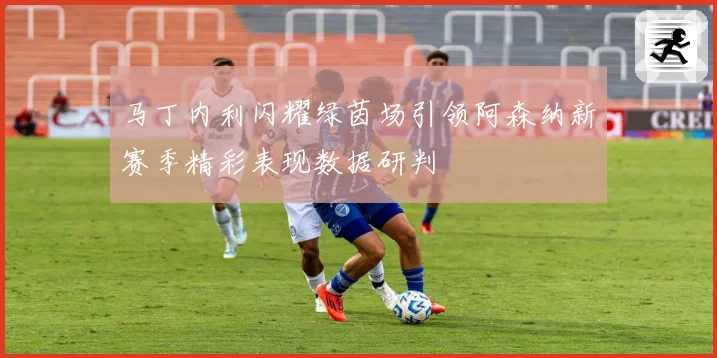 马丁内利闪耀绿茵场引领阿森纳新赛季精彩表现数据研判