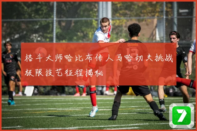 格斗大师哈比布传人马哈切夫挑战极限技艺征程揭秘