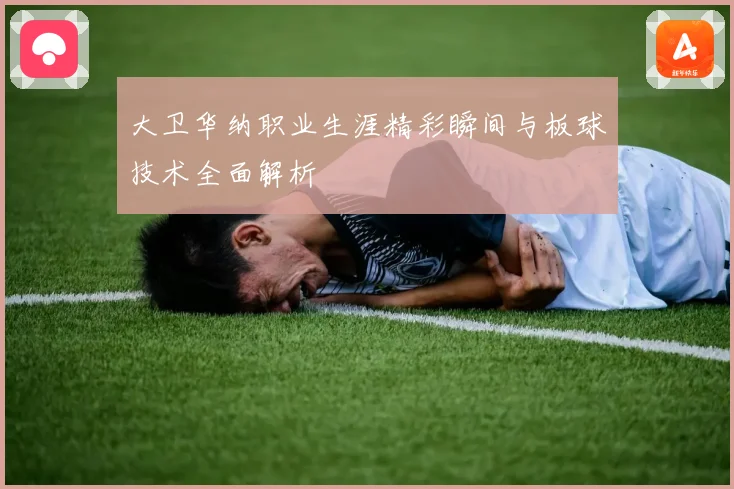 大卫华纳职业生涯精彩瞬间与板球技术全面解析
